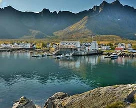 thumb-mefjord-brygge-zomer