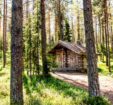 finland-vt-blokken%20370x344%20(2)