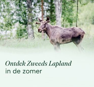 vt-actieblok-370x344-zweeds-lapland-reizen