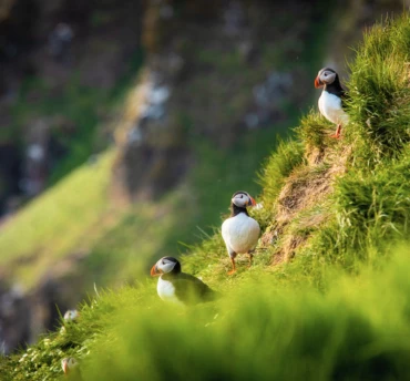 vt-actieblok-370x344-ijsland-zomer%20(6)