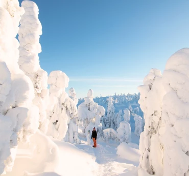 vt-actieblok-370x344-last-minute-lapland%20(1)