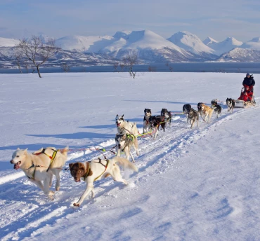 excursies-tromso-header-thumb