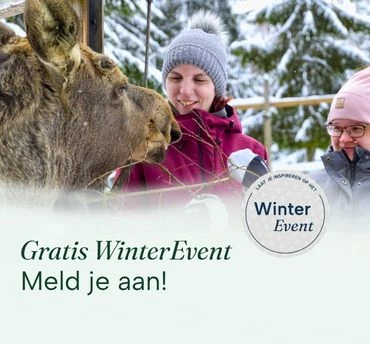 vt-actieblok-370x344-winter-event-zuid-finland