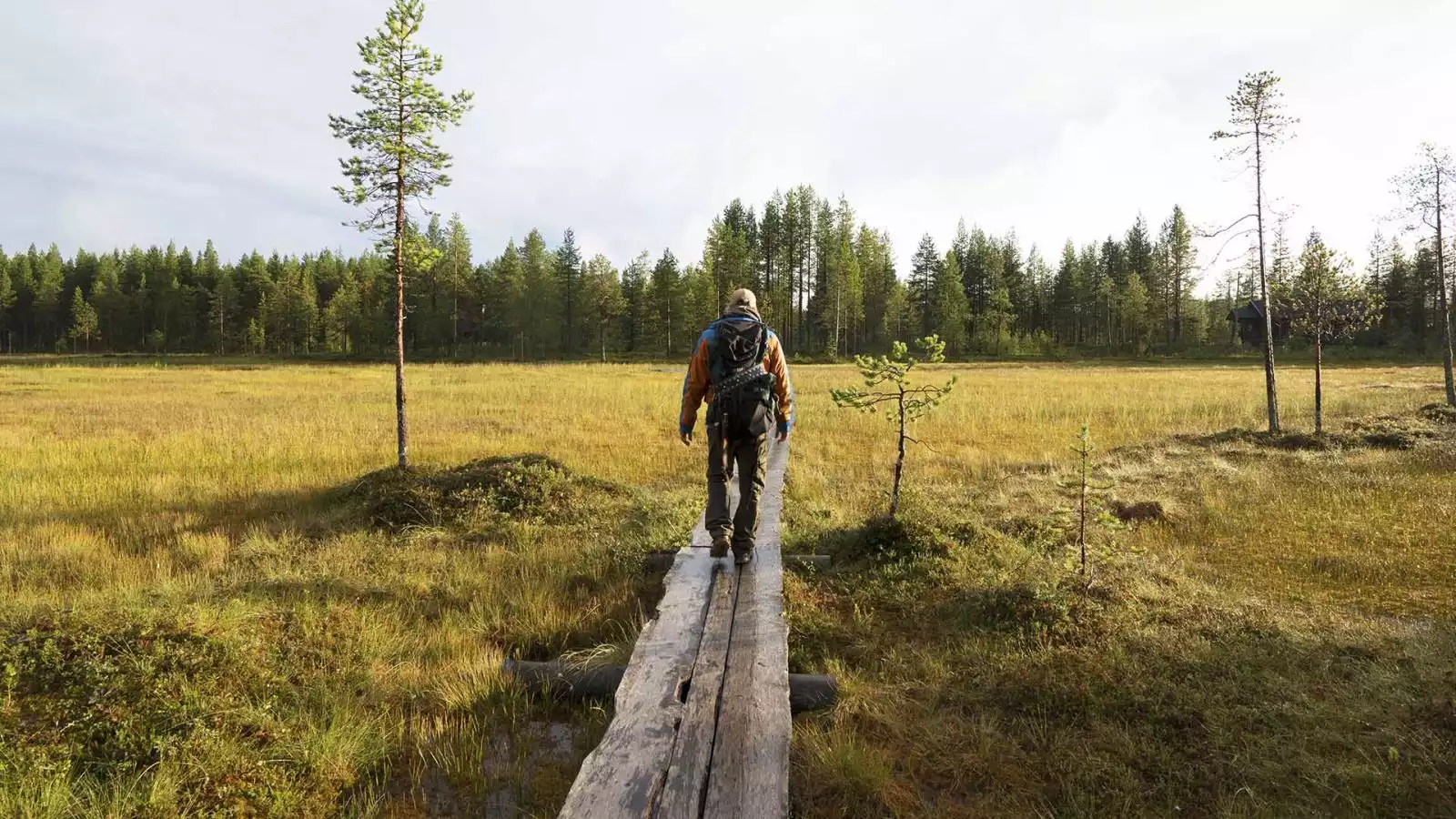 Wandelen of kanoën in de wildernis