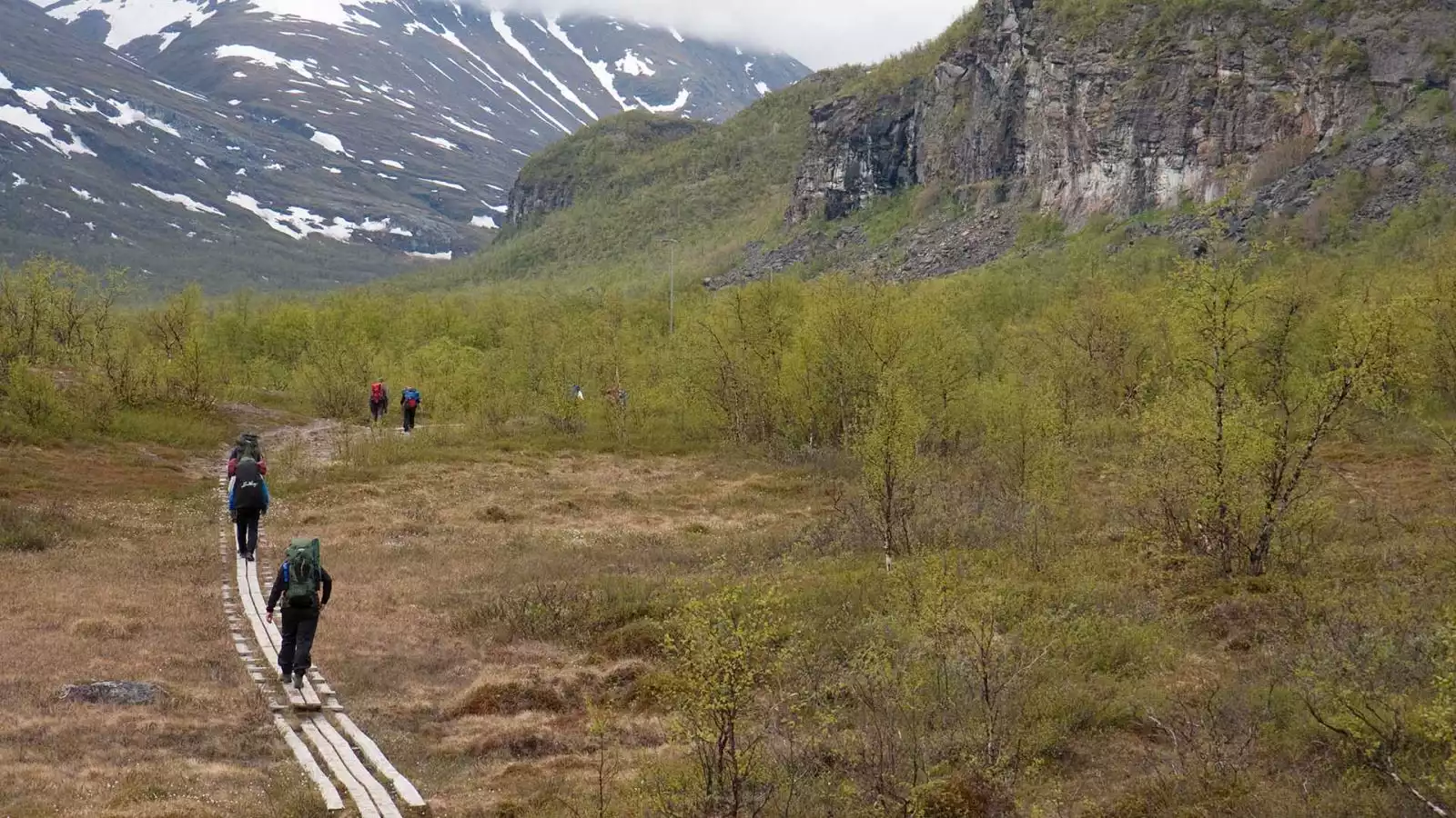 Rondom Abisko National Park