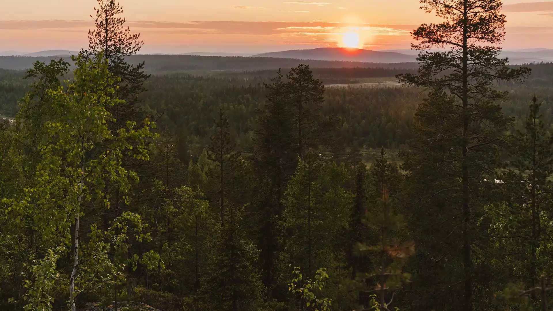 Welkom in de Finse wildernis