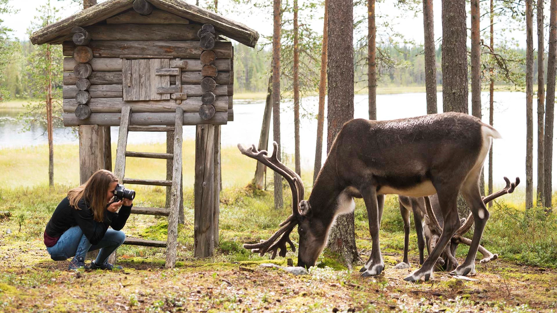 De nachteloze nachten van Lapland