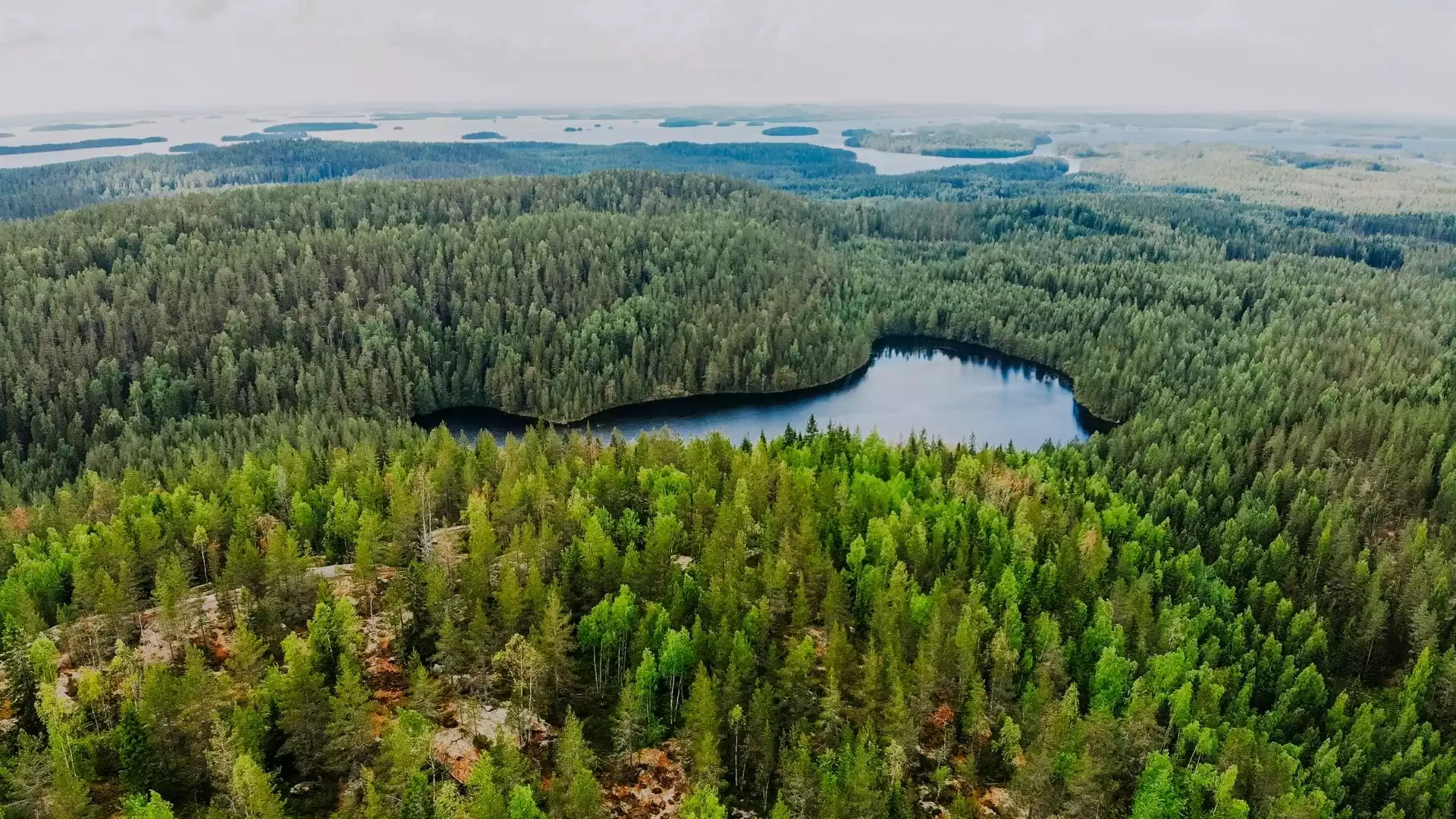 Op ontdekking in de nationale parken