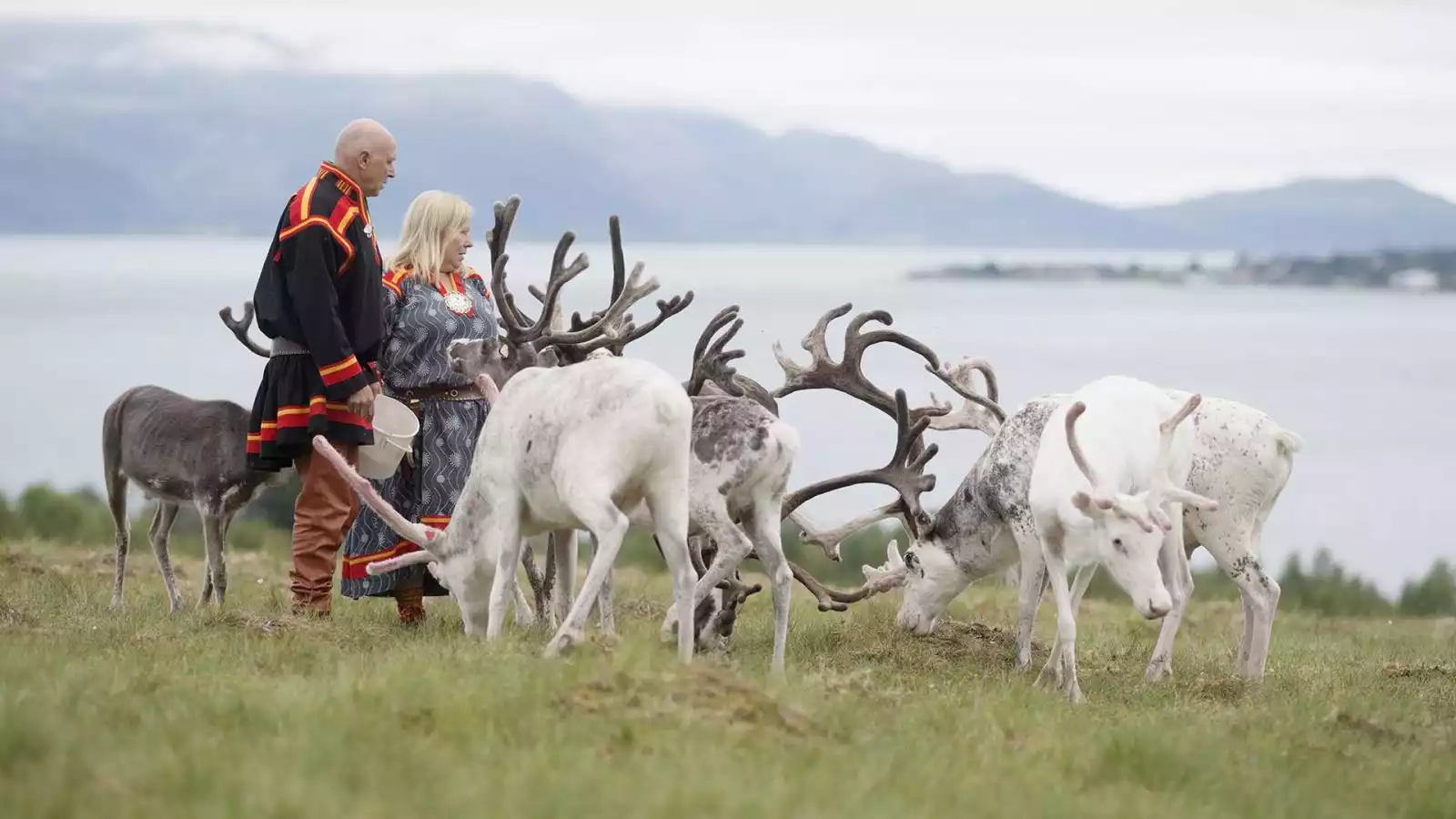 Bruisend Tromsø en op bezoek bij Sami familie