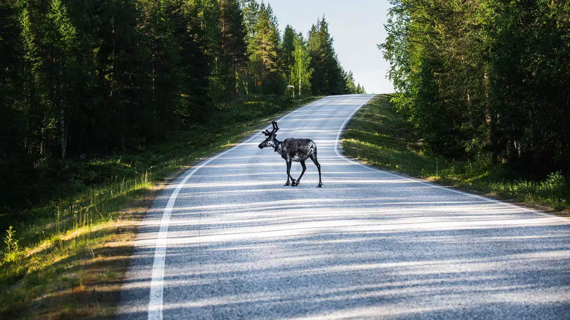 Welkom in Lapland