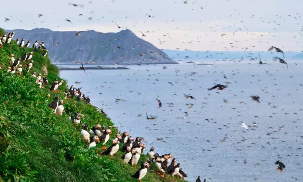 Verken het schierieland