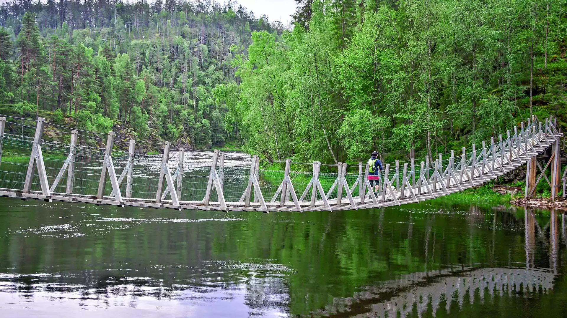 Wandeling Oulanka National Park