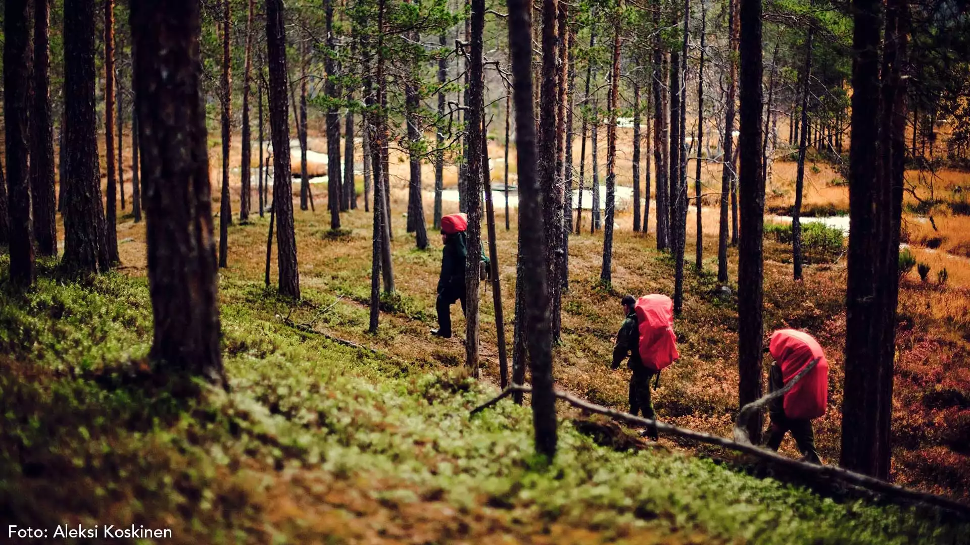 Wandeling Urho Kekkonen National Park
