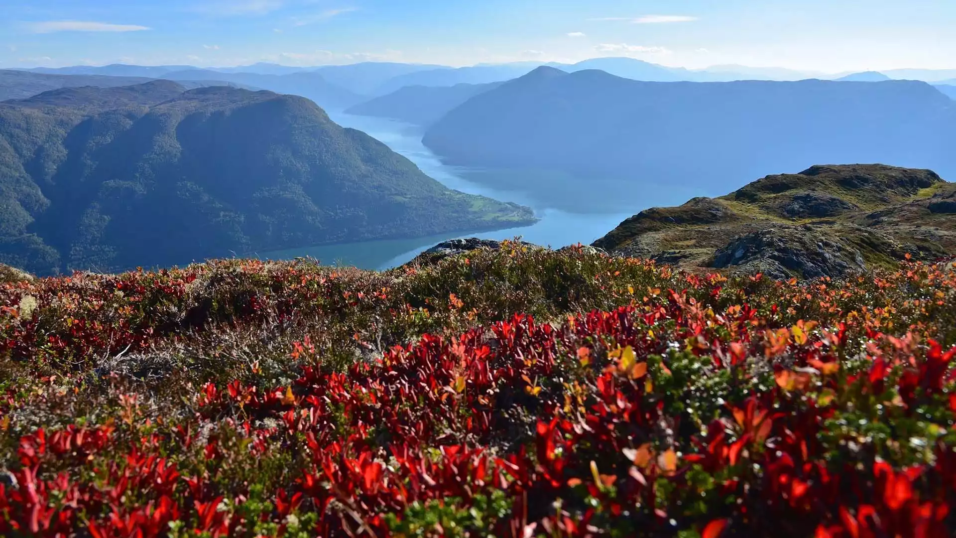 Terug naar de Sognefjord