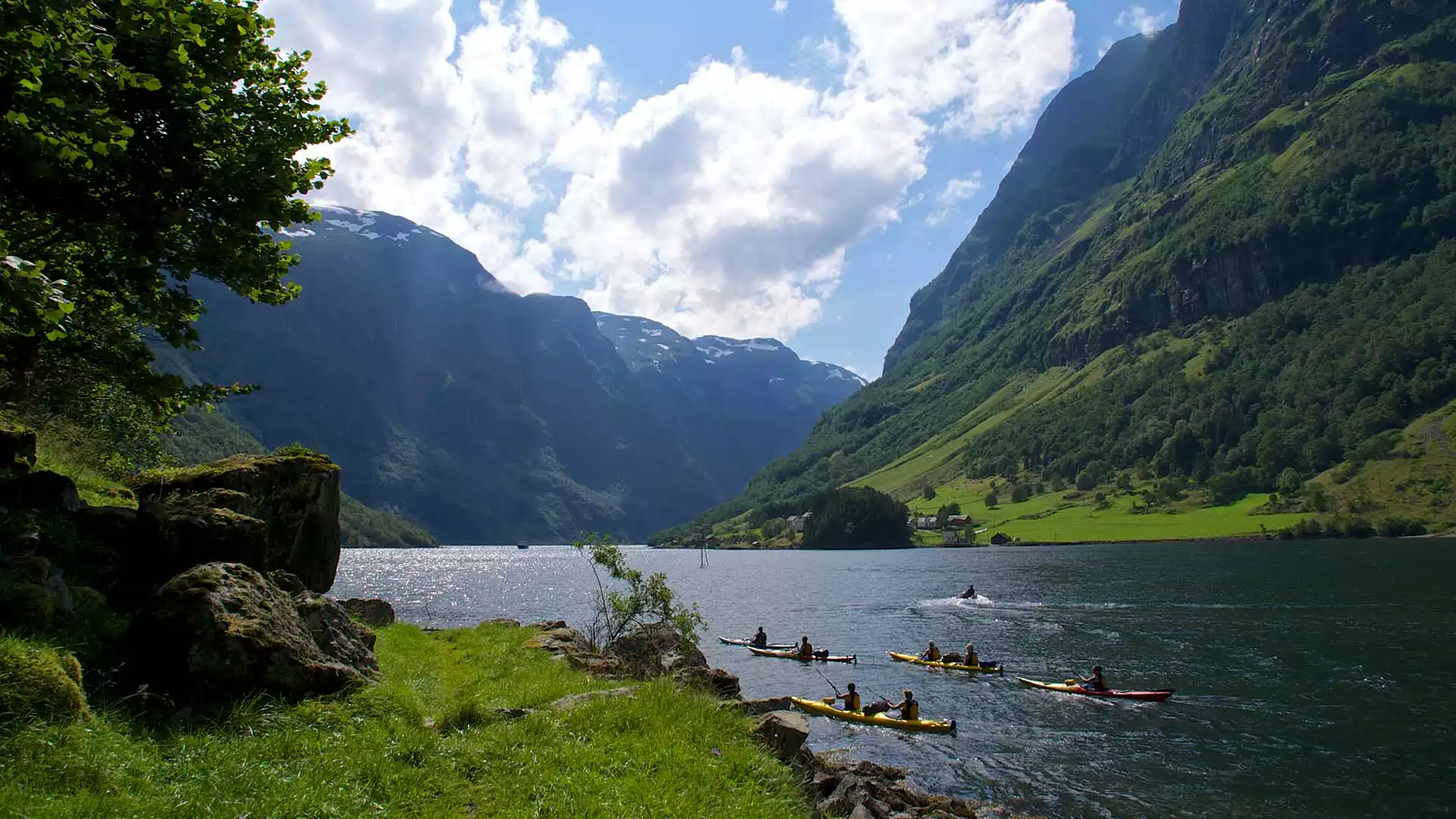 Hanzestad Bergen, Flåmsbanen of de Nærøyfjord