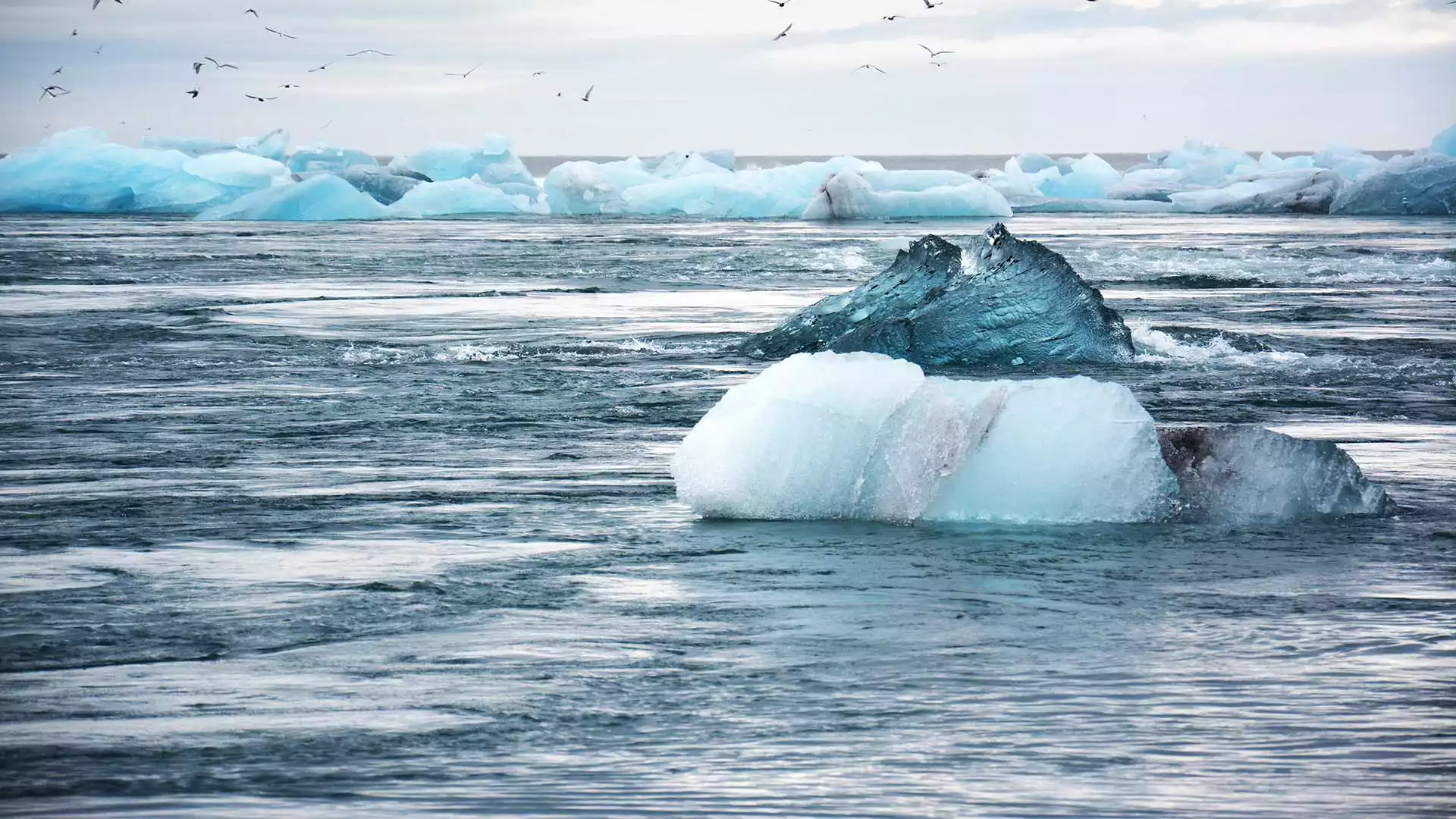 Skaftafell National Park, Jökulsárlón ijsmeer en Breiðamerkurjökull-gletsjer