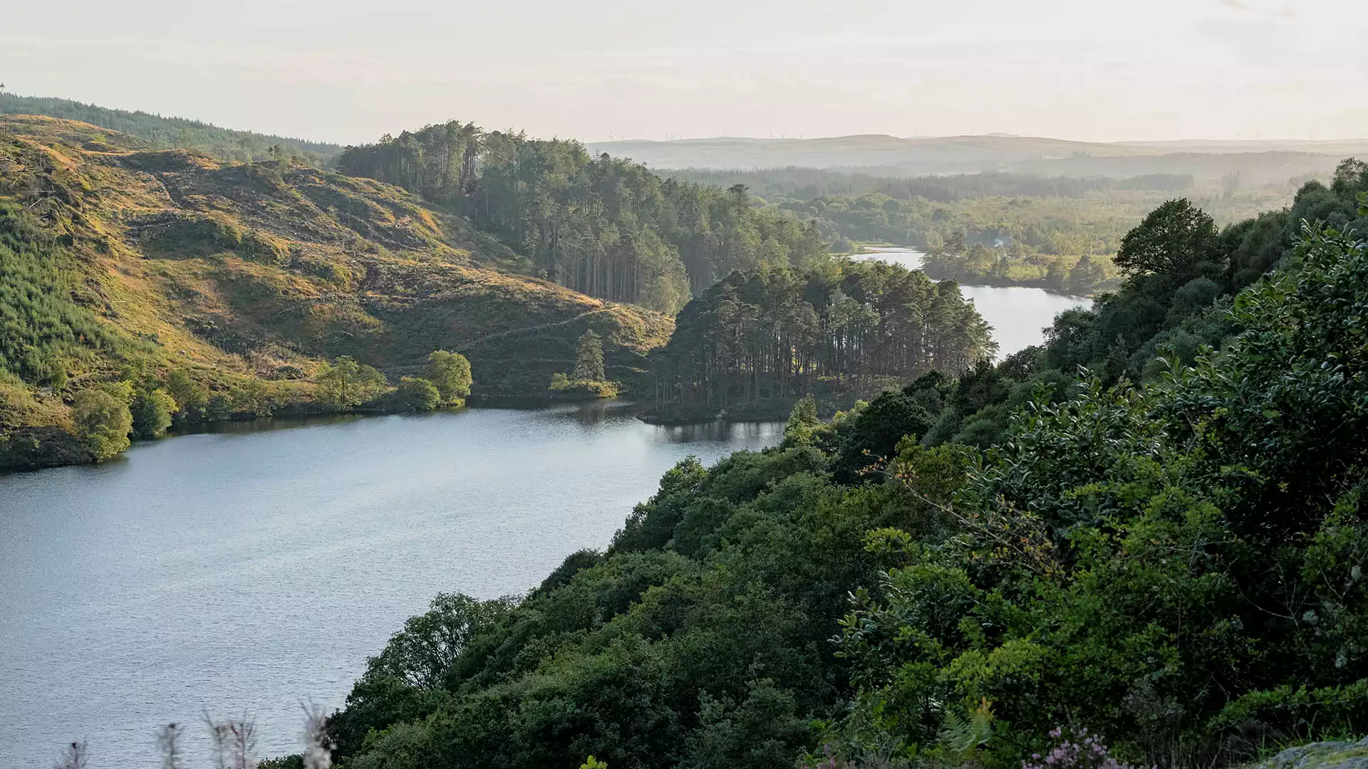 Toeren richting Galloway & Dumfries