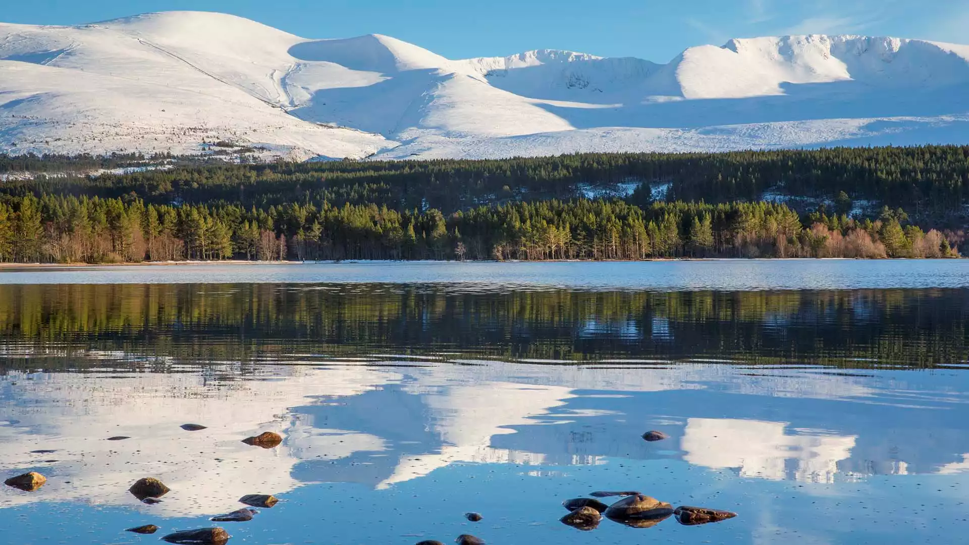 Het prachtige Cairngorms National Park