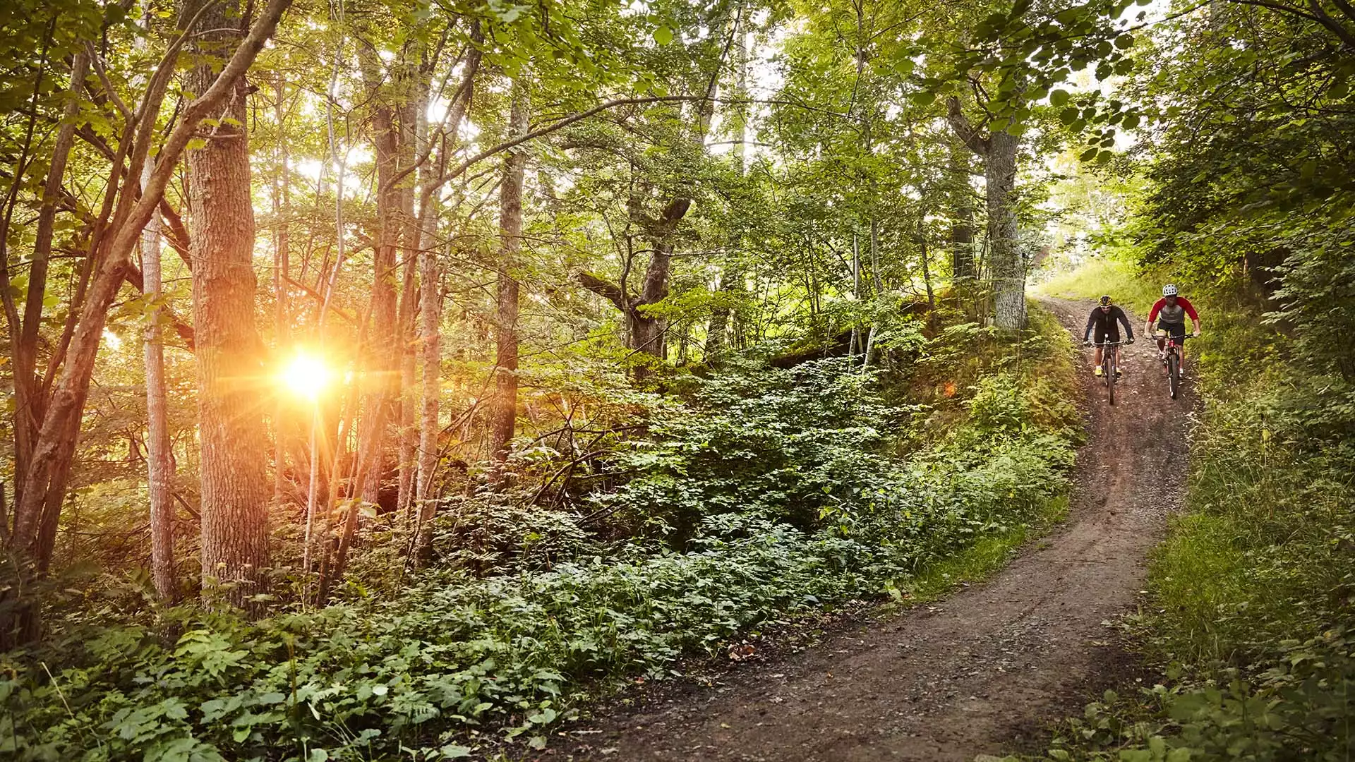 Met de mountainbike de natuur in