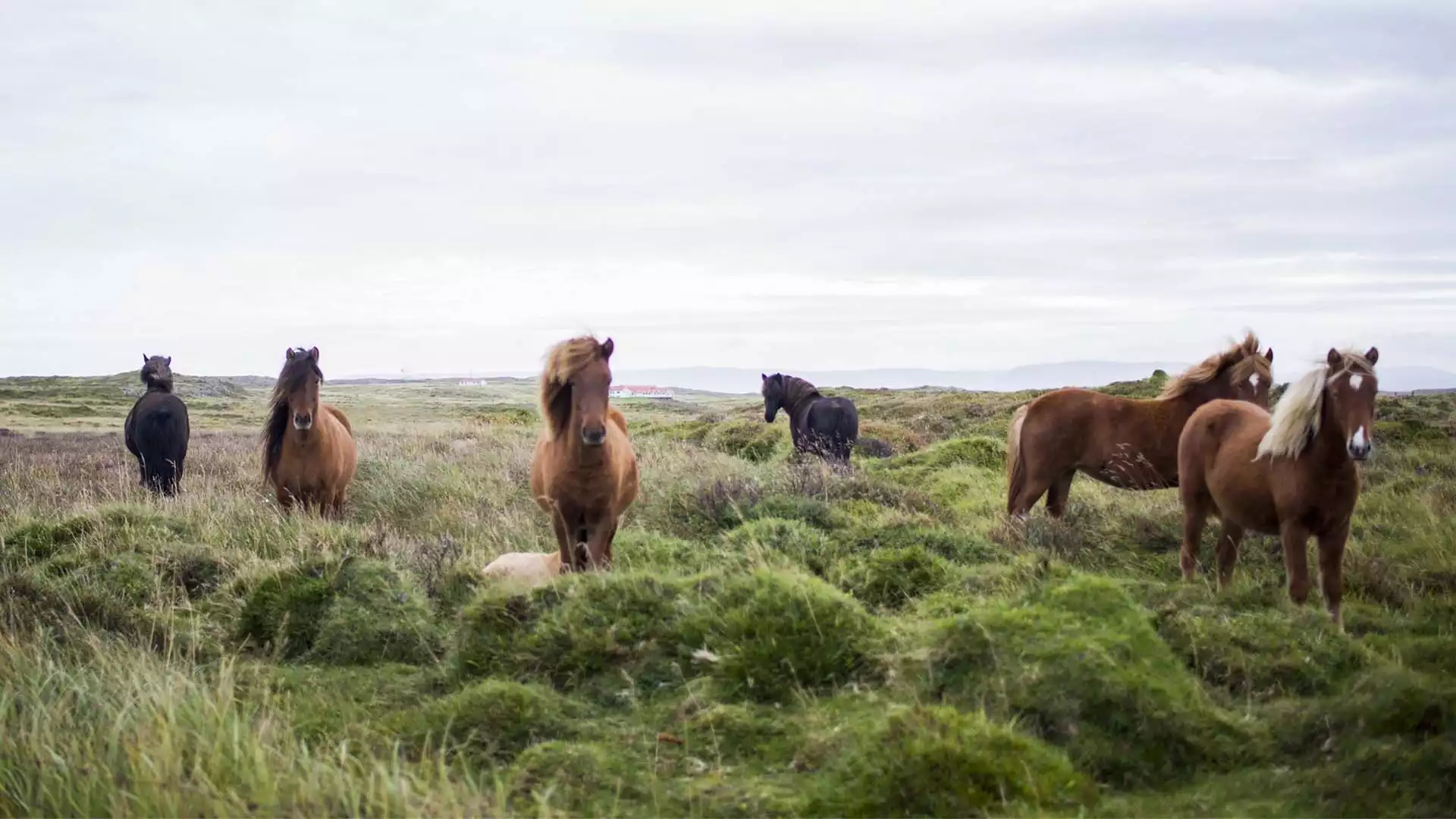 Verder naar het zuiden