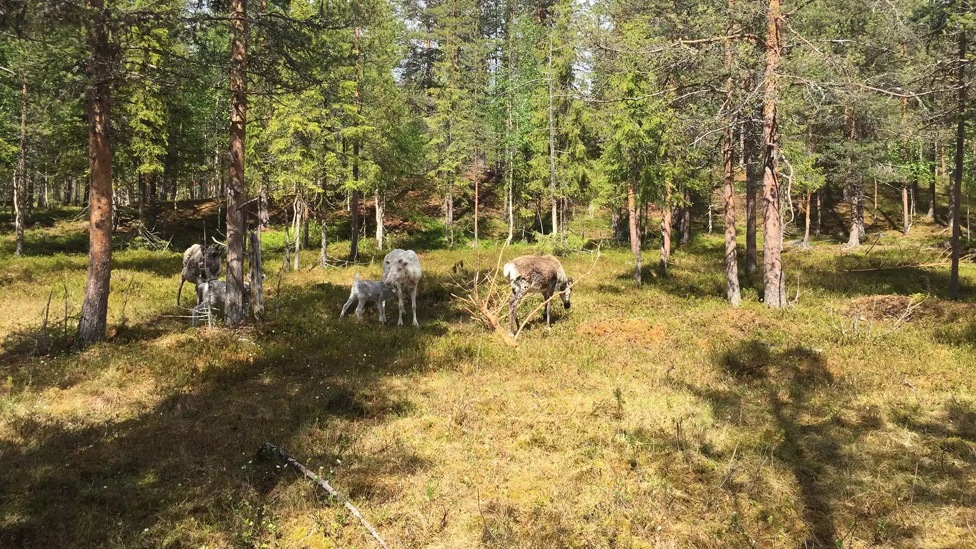 Per e-bike de natuur in