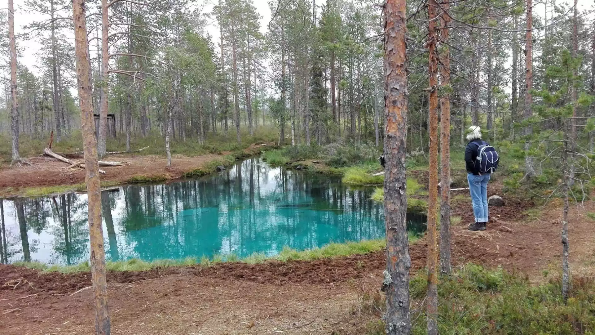 Ontdek Storforsen Naturreservat