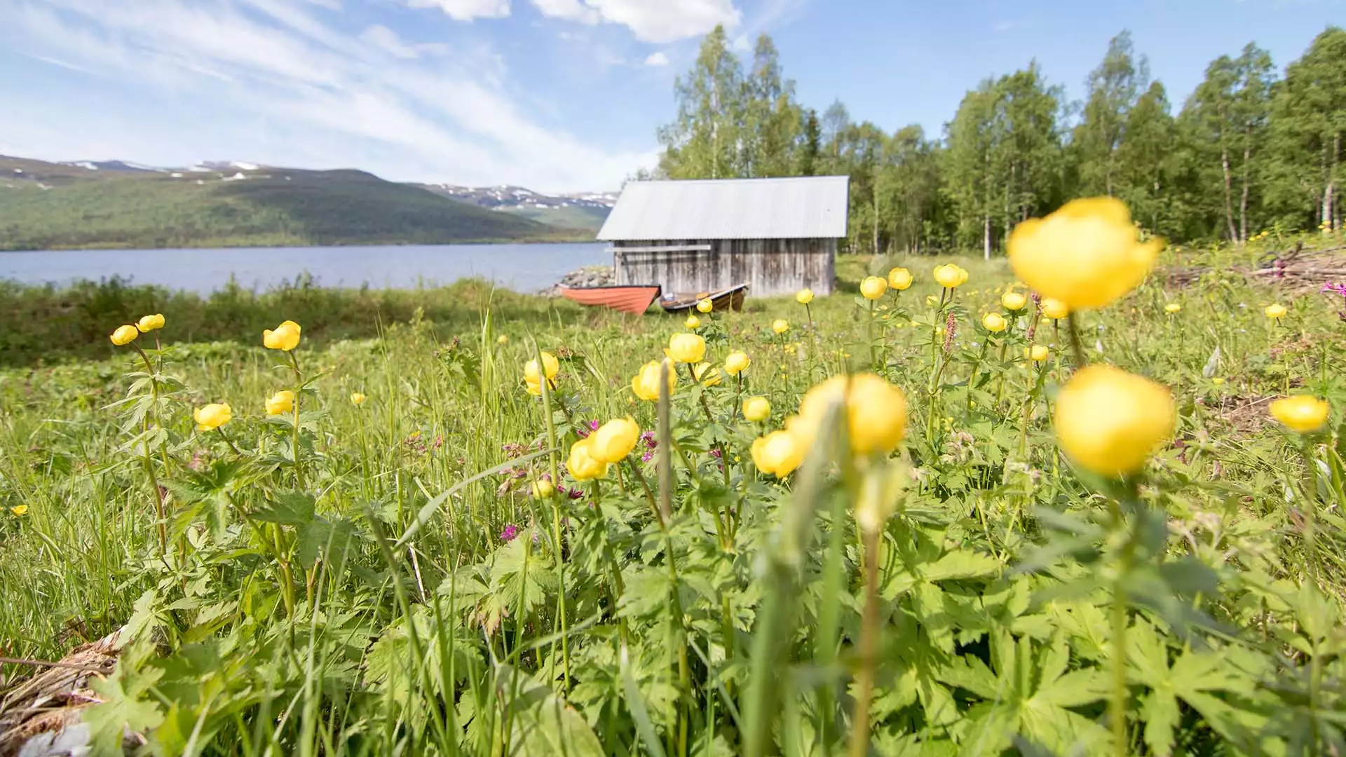 Verken Tärnaby-Hemavan