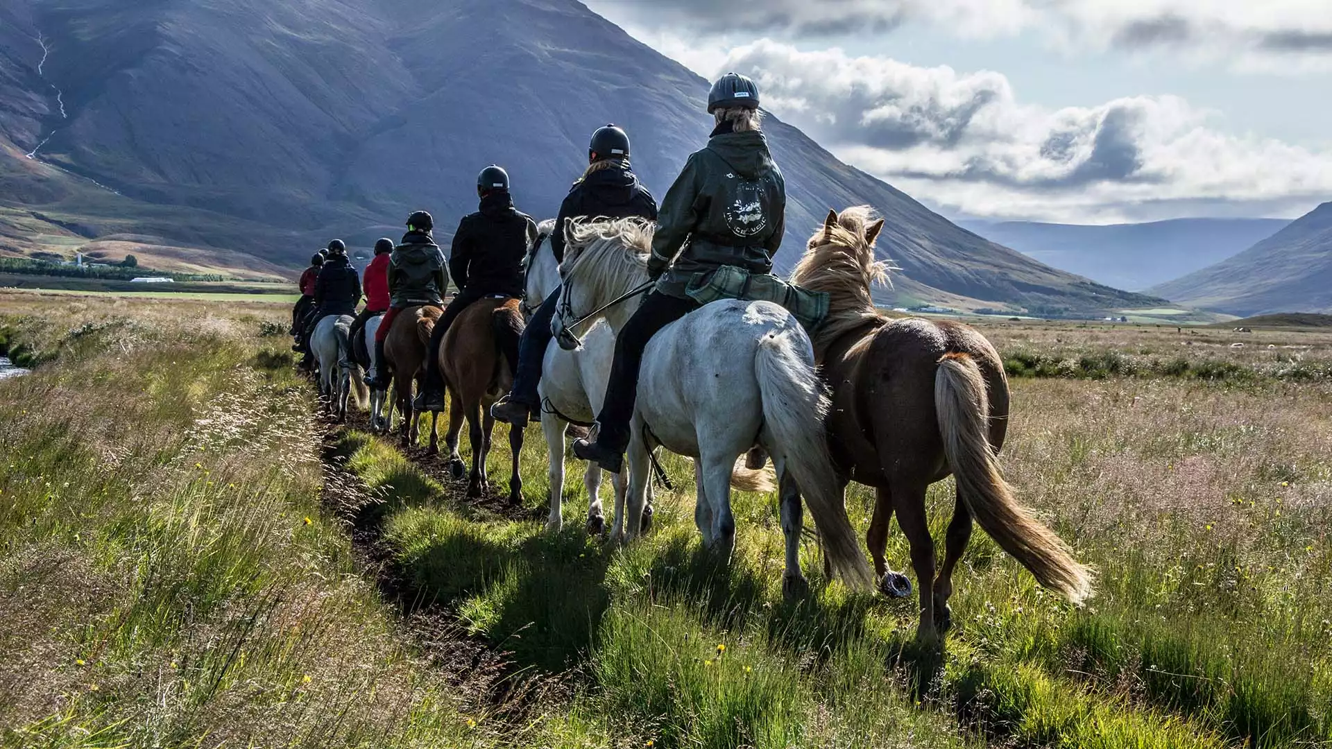 Paardrijden in Akureyri