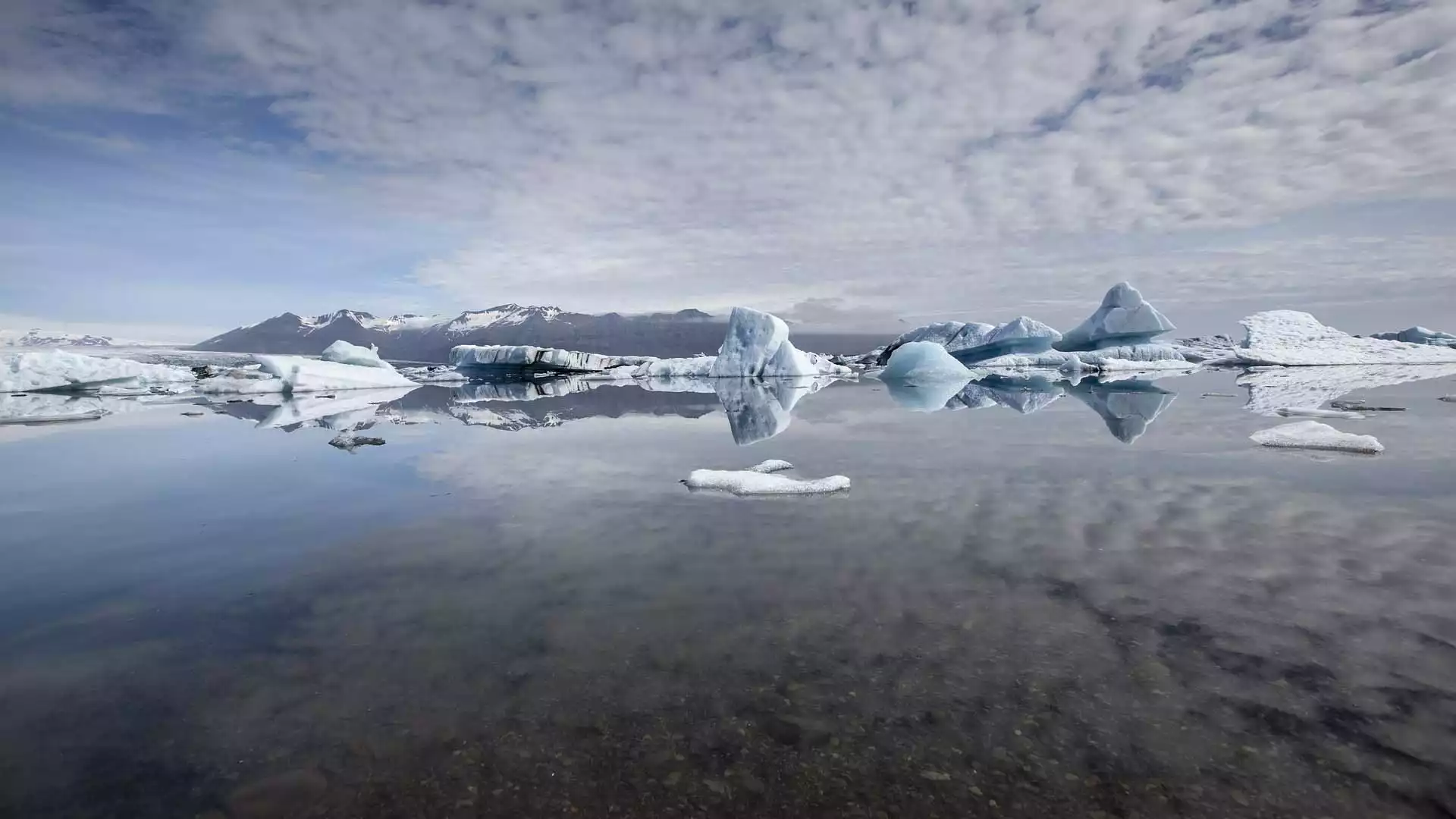 Het ijsmeer Jökulsárlón bewonderen