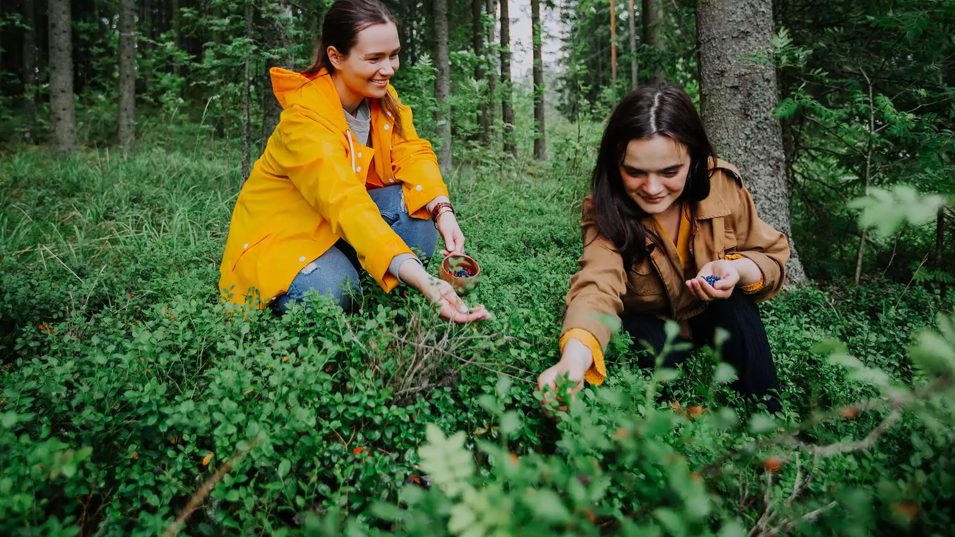 Bessen en paddenstoelen plukken in het bos met Tuija