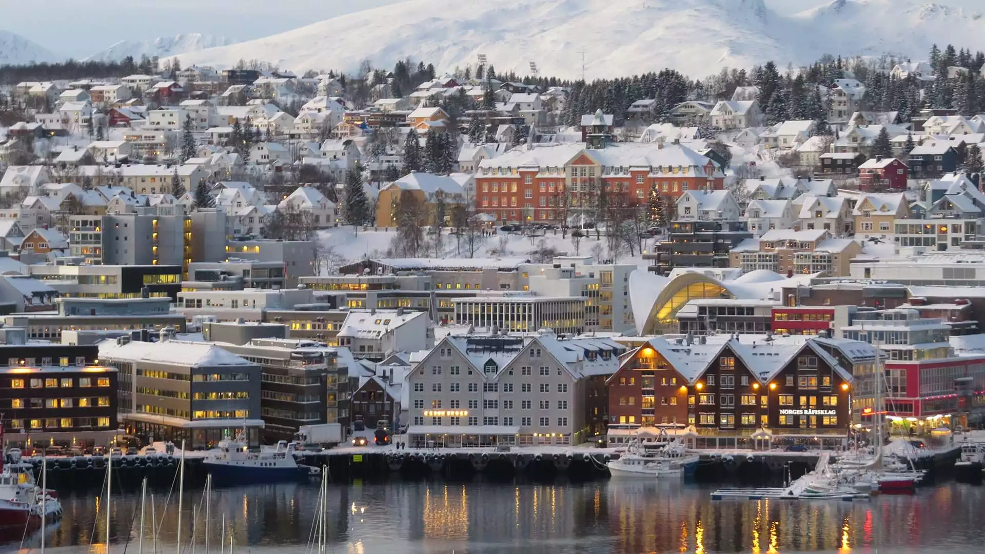 Bezoek Tromsø, het ‘Parijs van het Noorden’