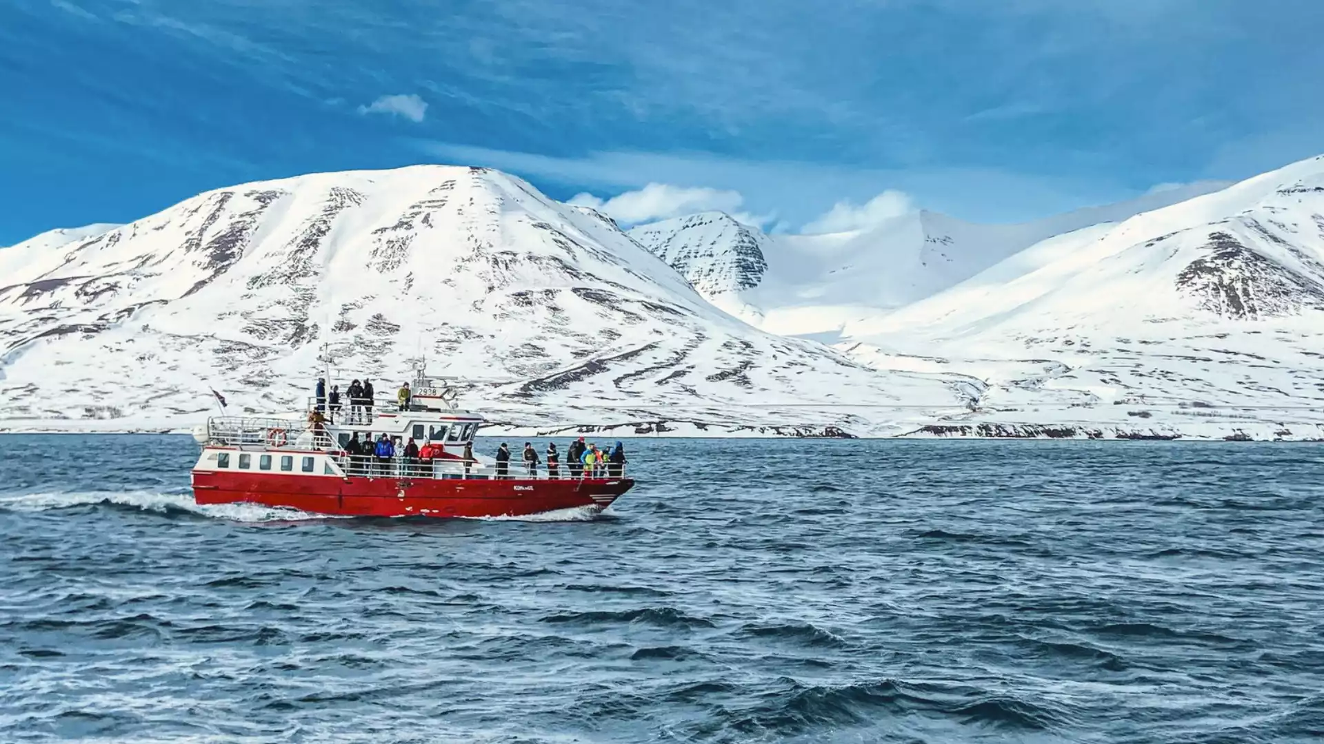 Op zoek naar walvissen