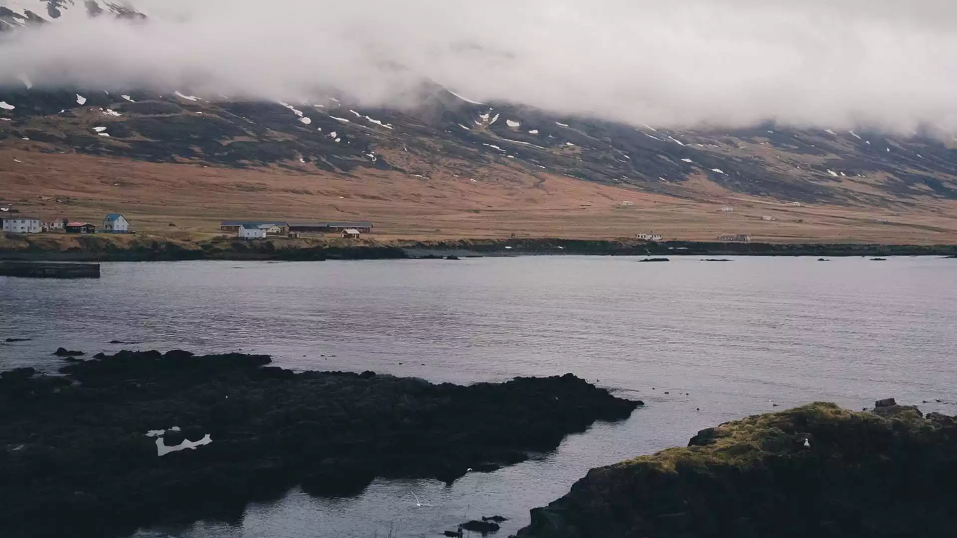 Maak kennis met Borgarfjörður Eystri