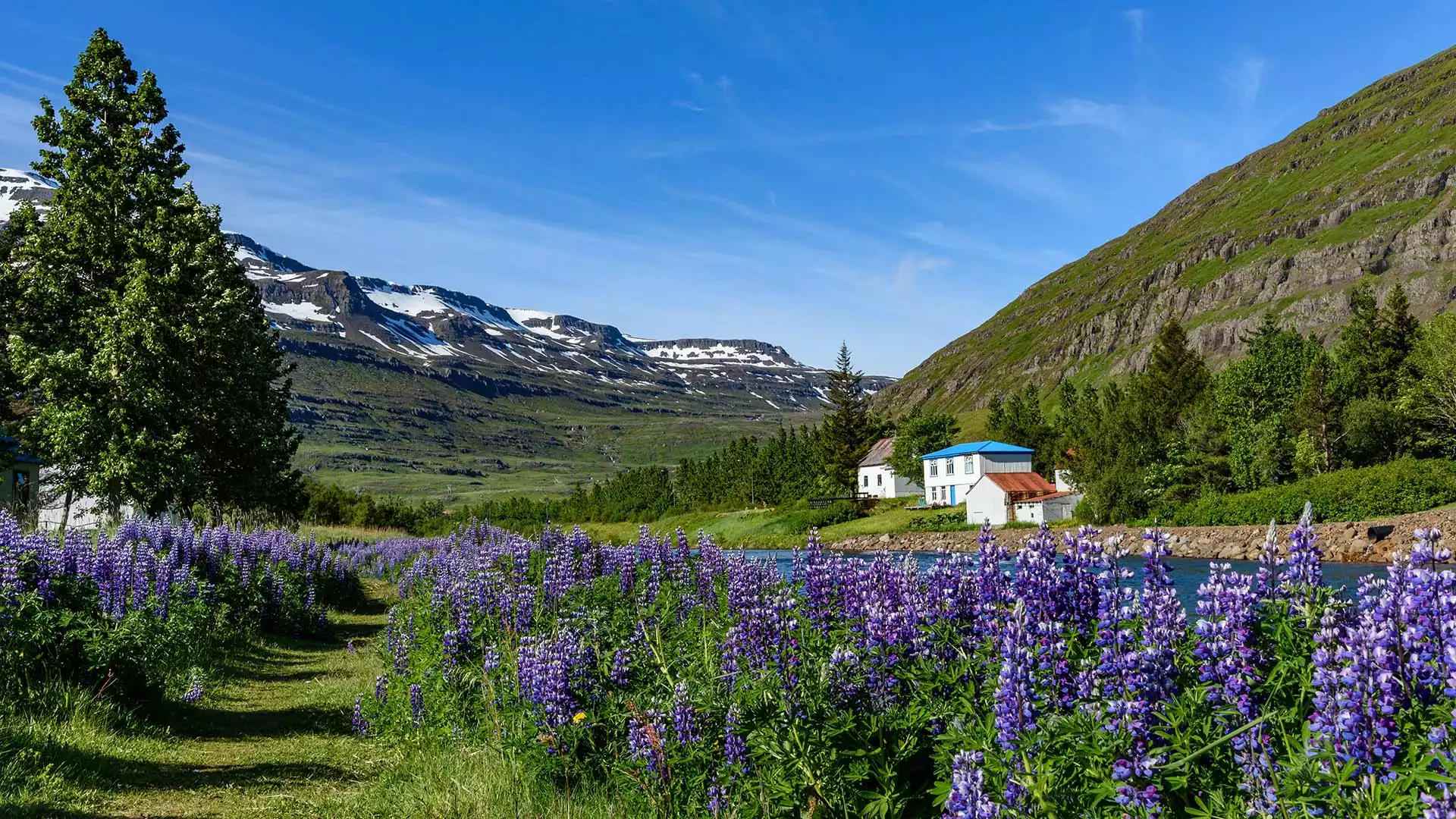 Bezoek het dorp Seyðisfjörður