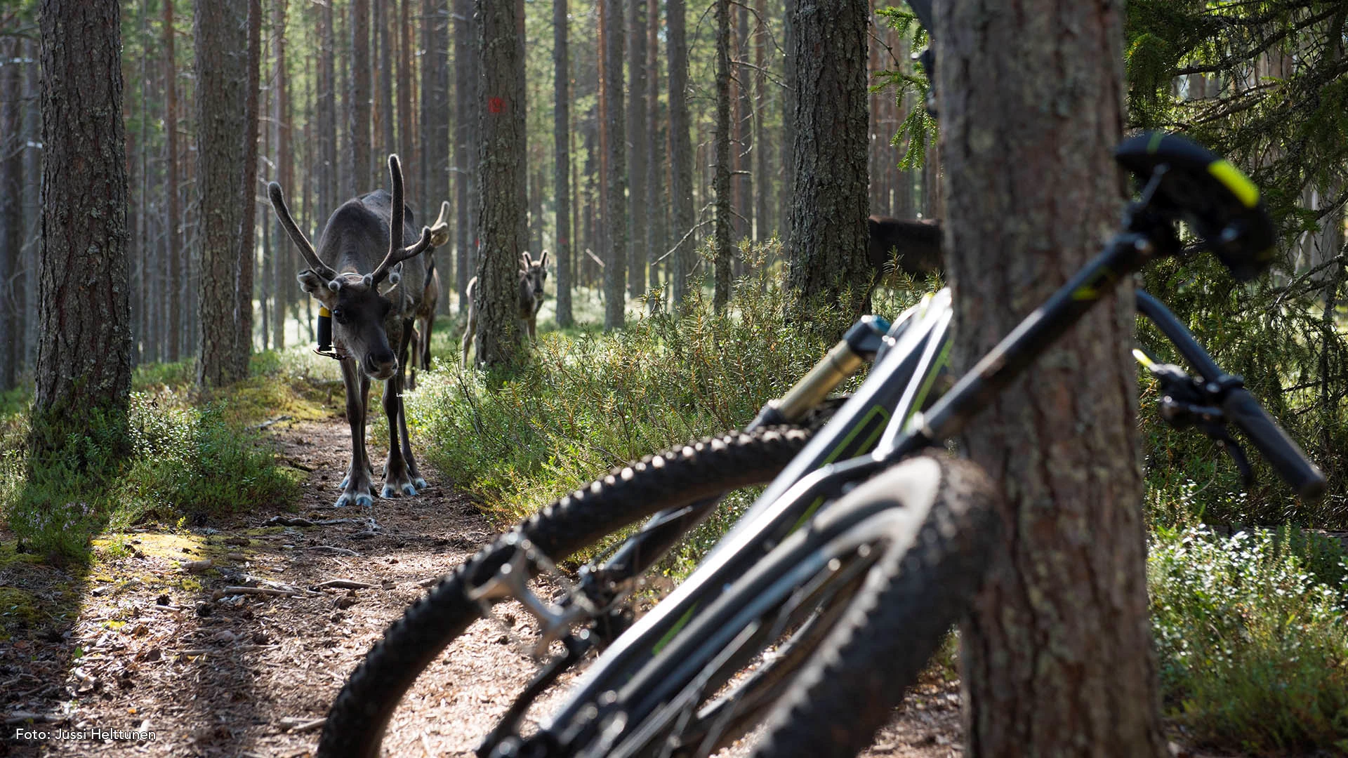 Mountainbiken en Finse sauna belevenis