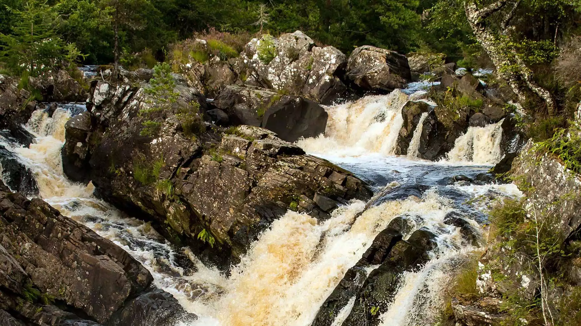 Rogie Falls