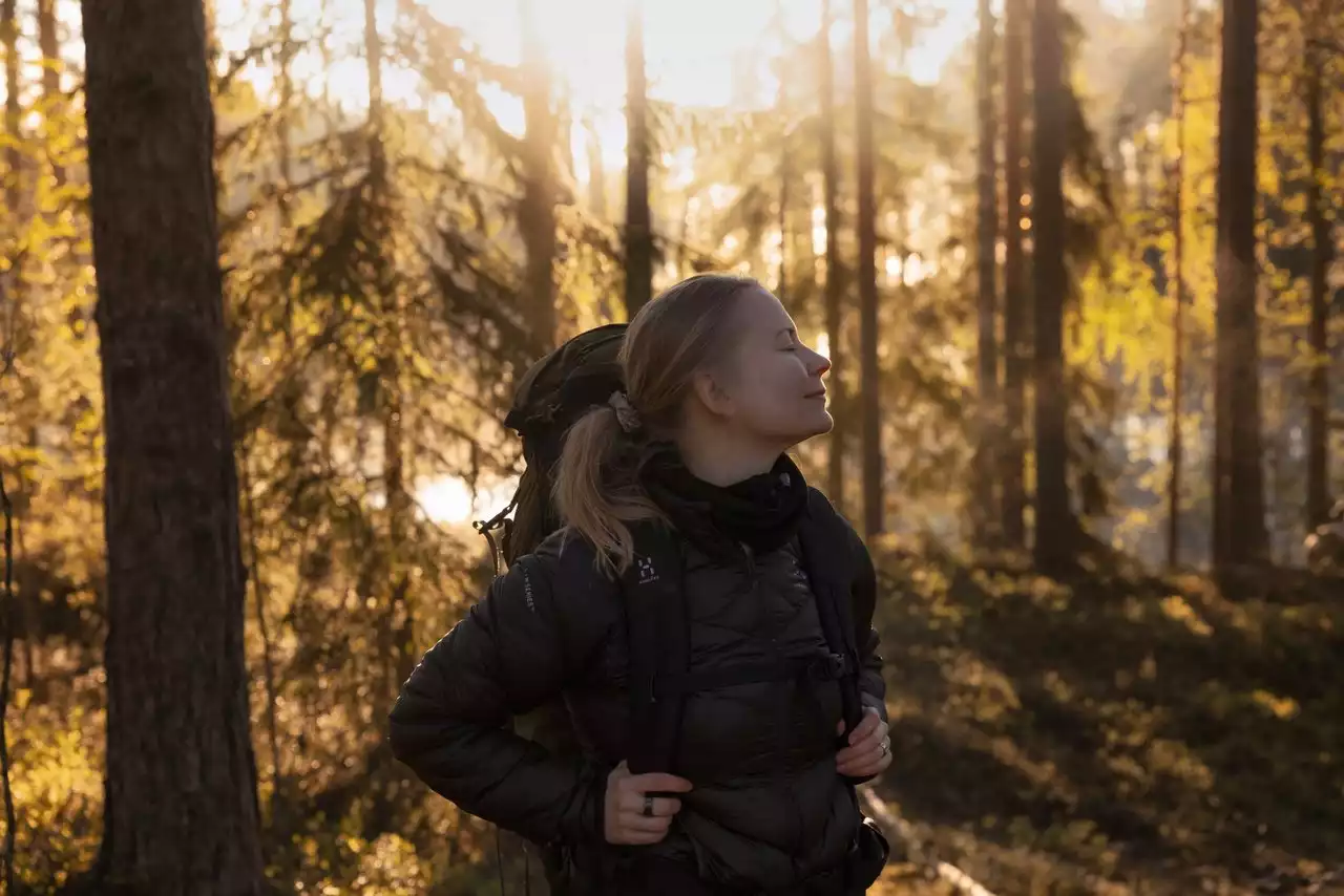 Wandeling door de Finse bossen en tijd voor ontspanning