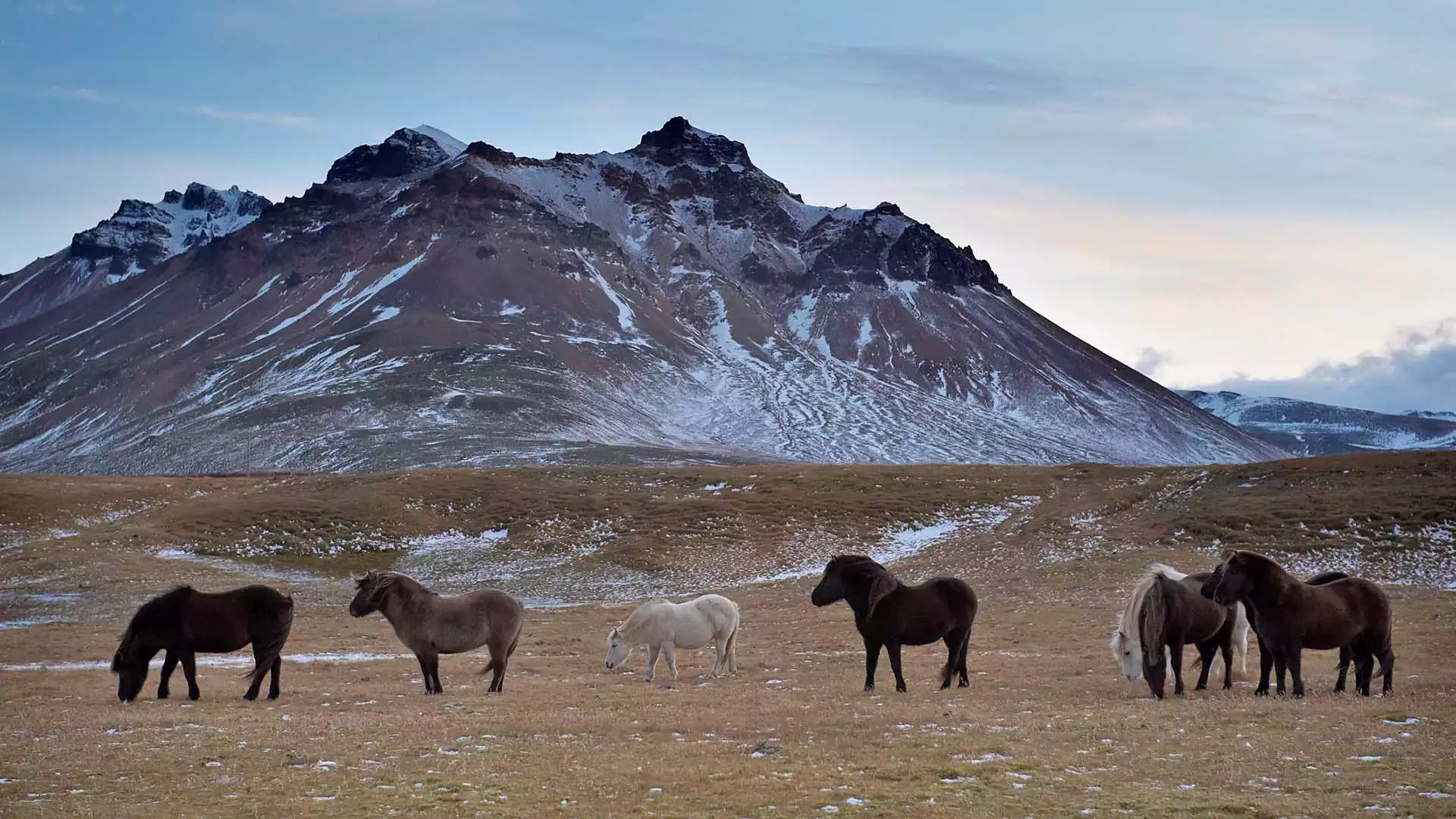 Stapavík Hike