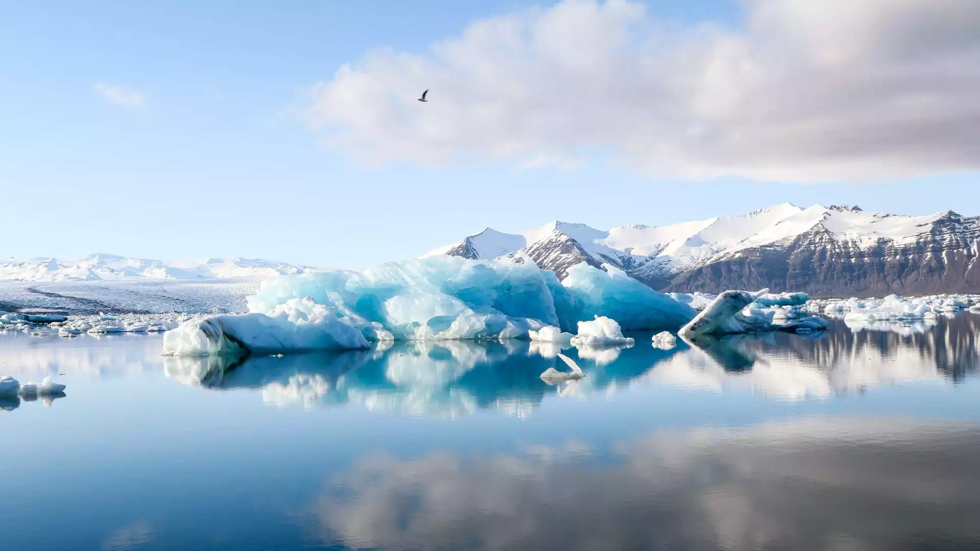 Jökulsarlón ijsmeer