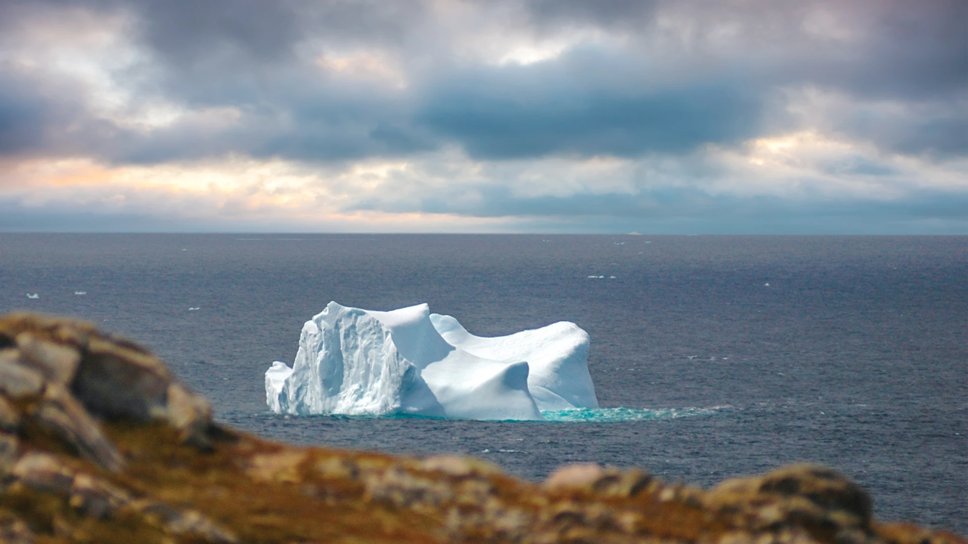 Iceberg Capital