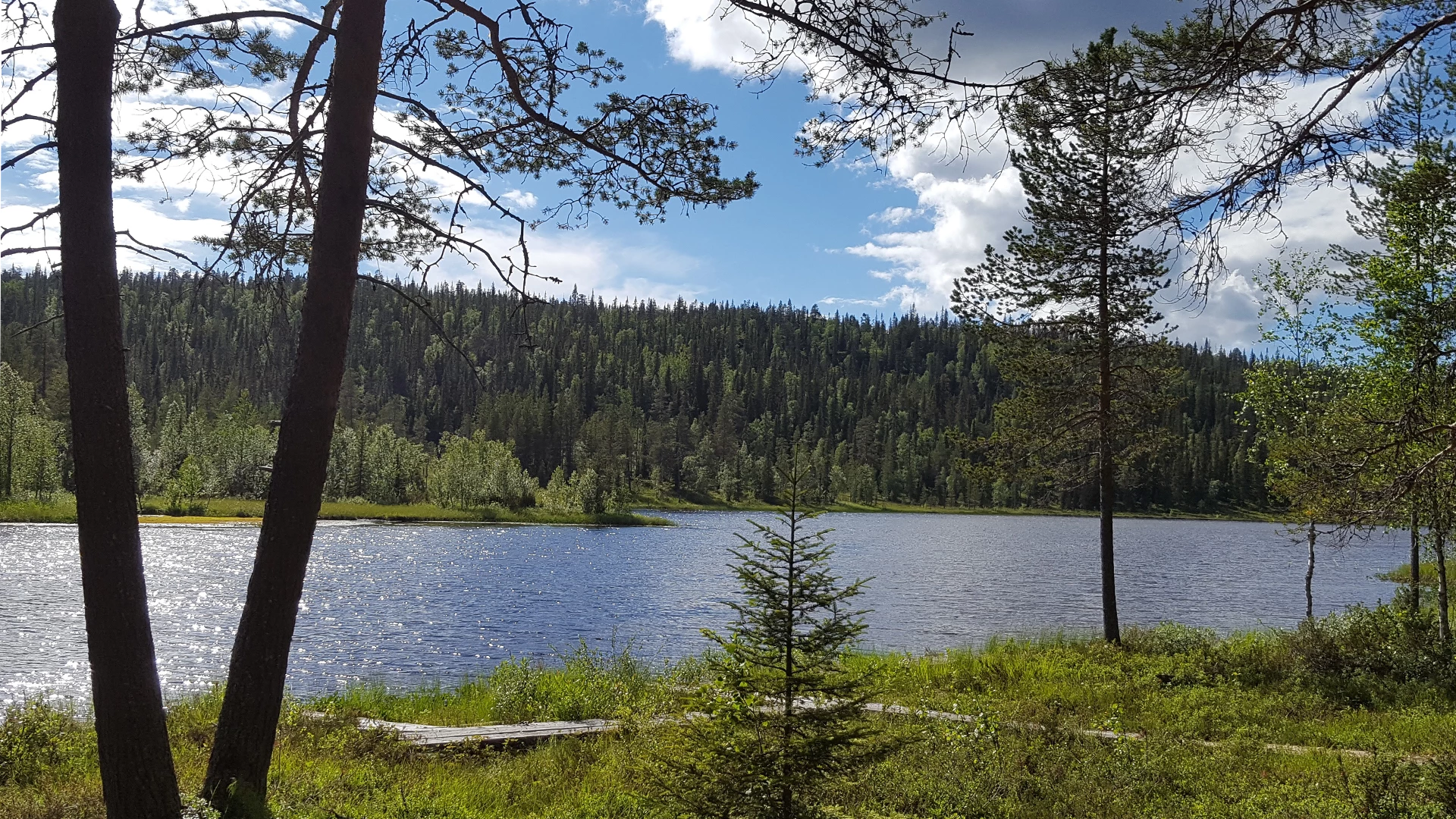 Salla National Park