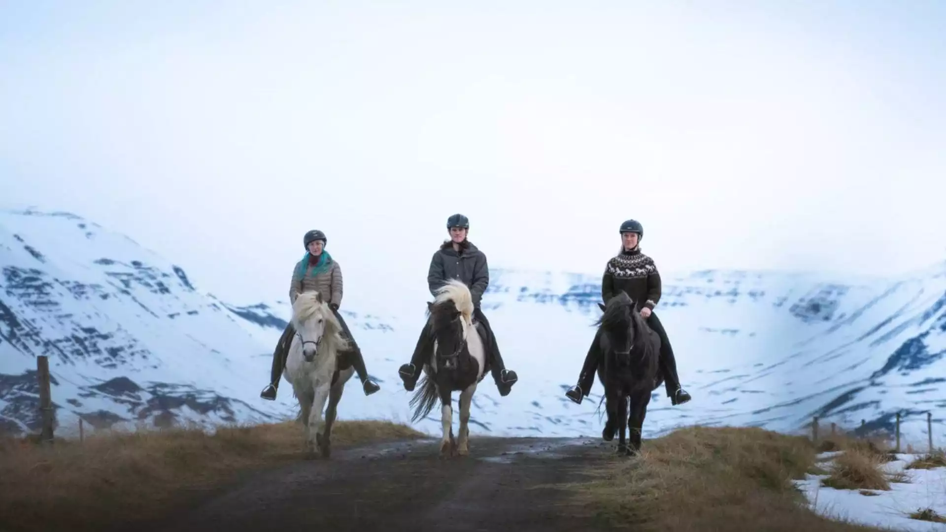 Paardrijden en sneeuwschoenwandeling