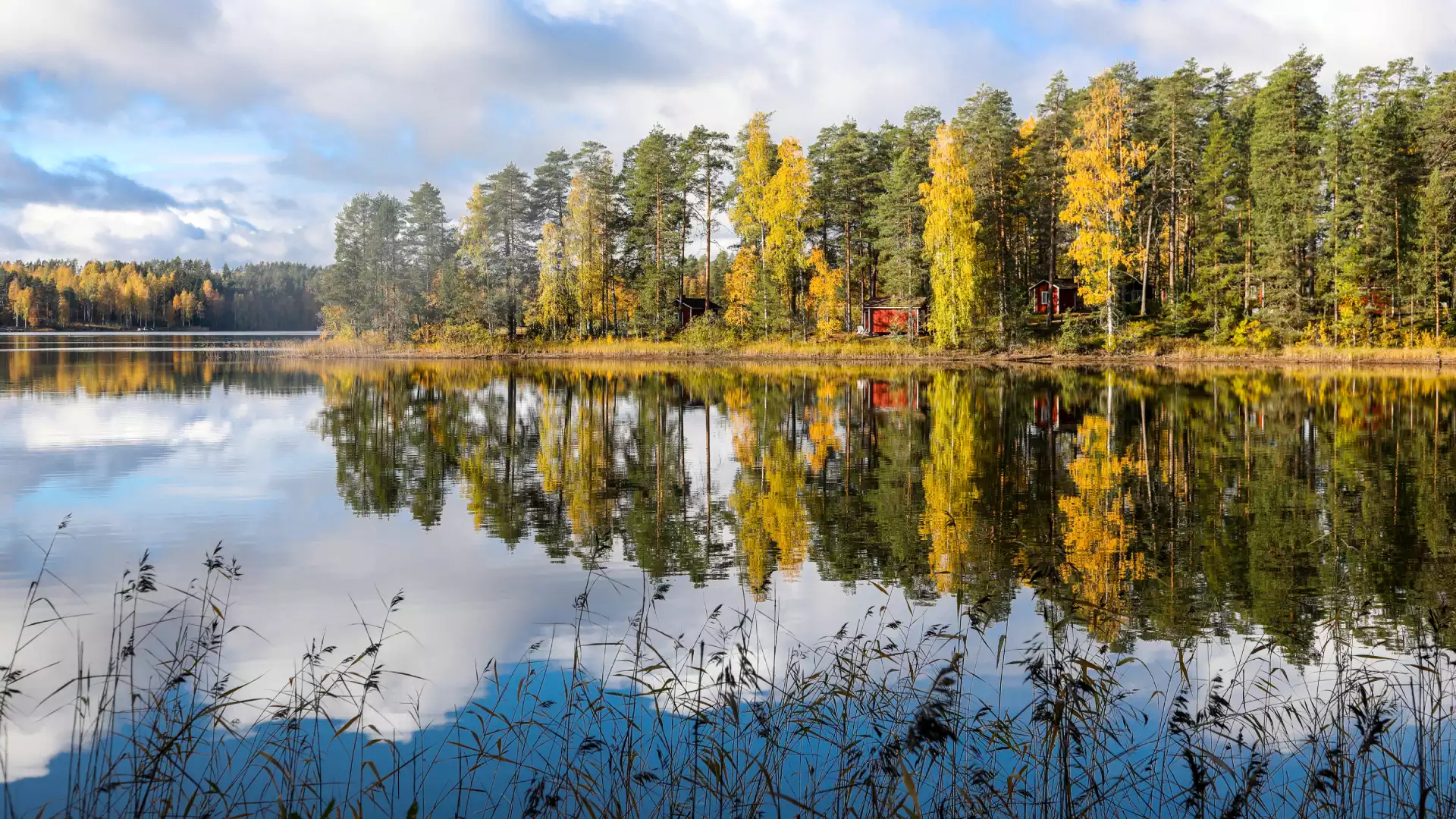 Op naar de pure Finse bossen