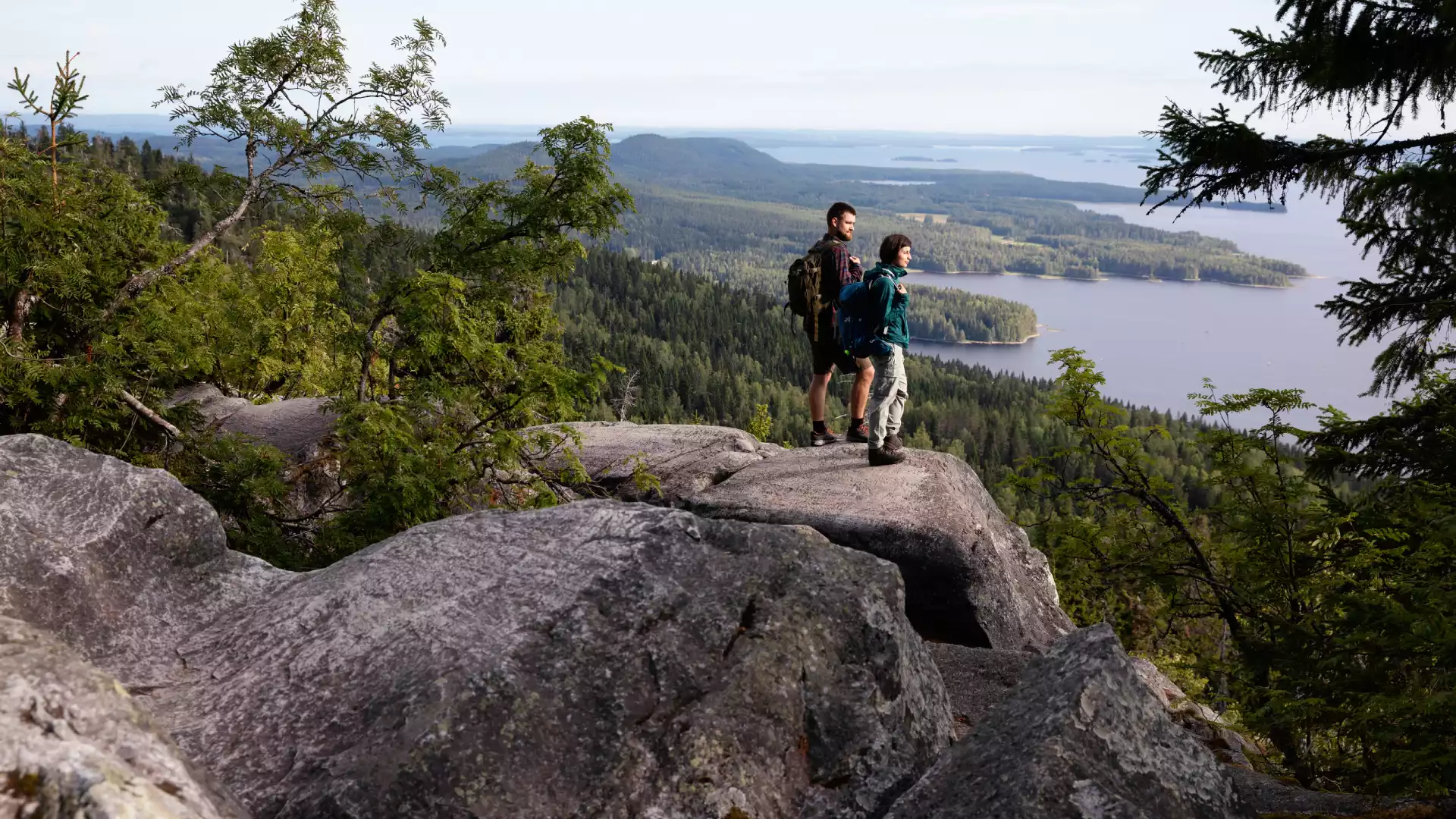 Koli Nationaal Park