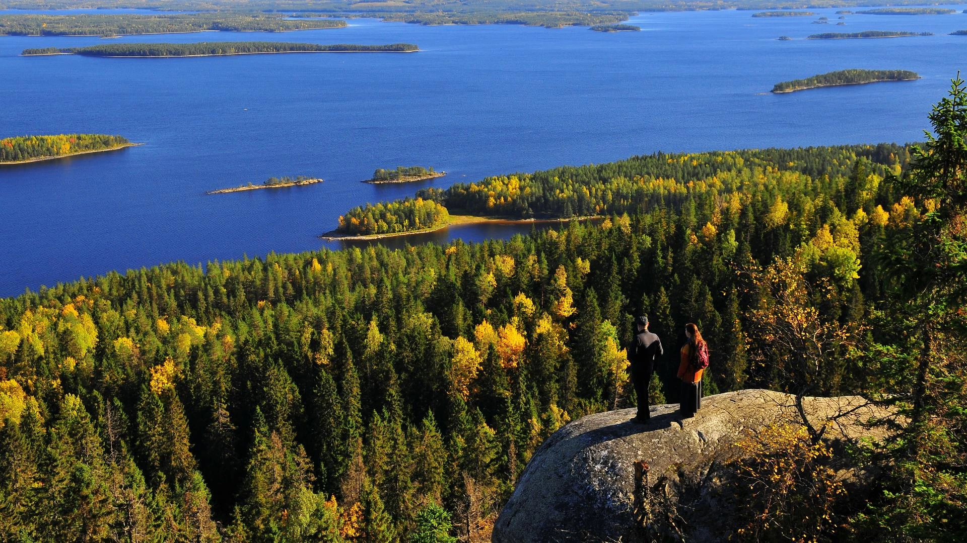 Koli Nationaal Park