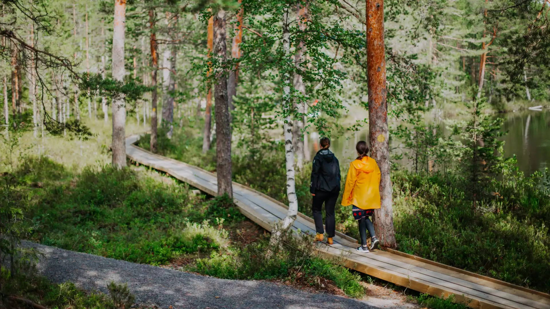 Astuvansalmi rotsschilderingen