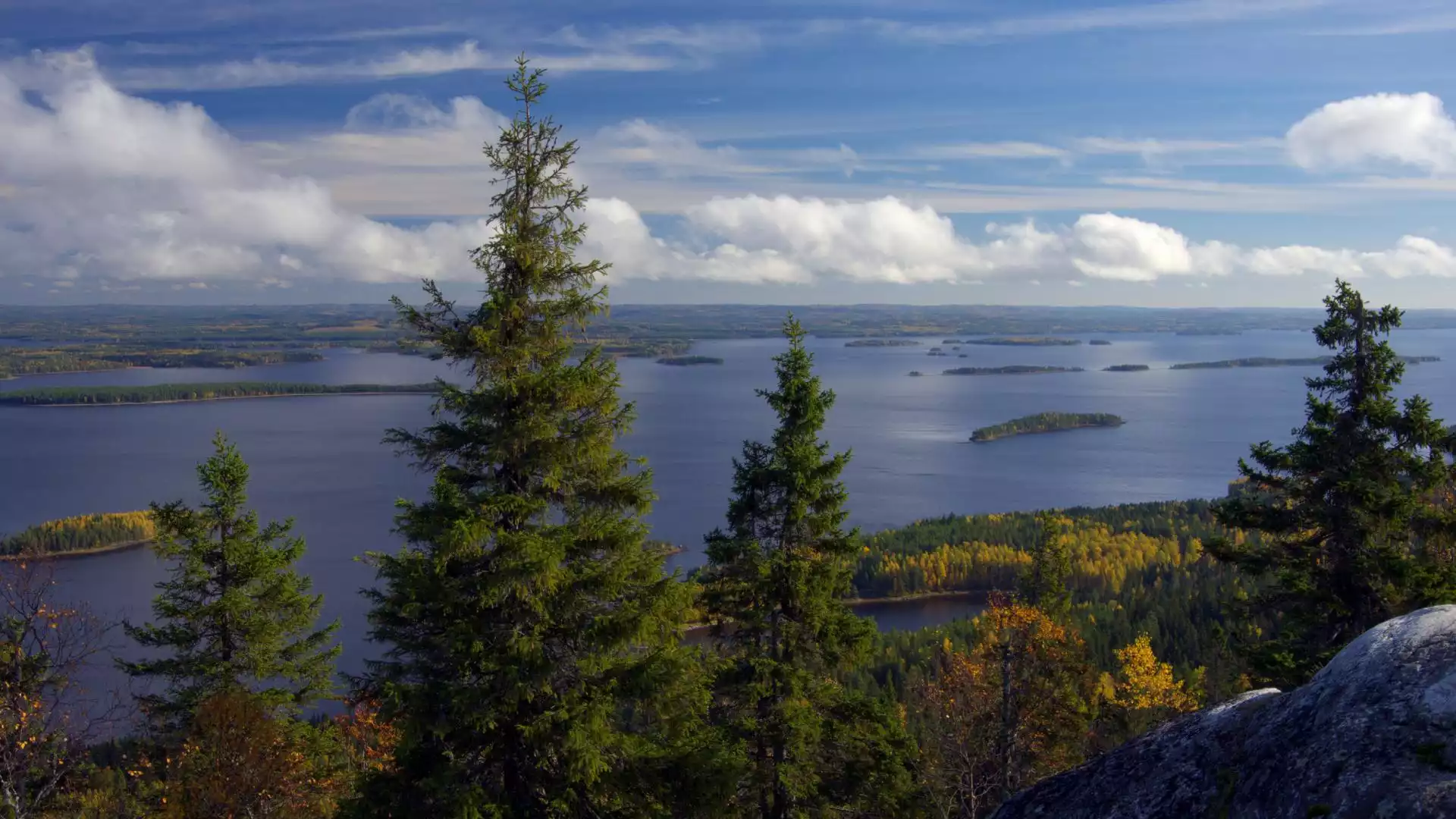 Hiken in Koli Nationaal Park