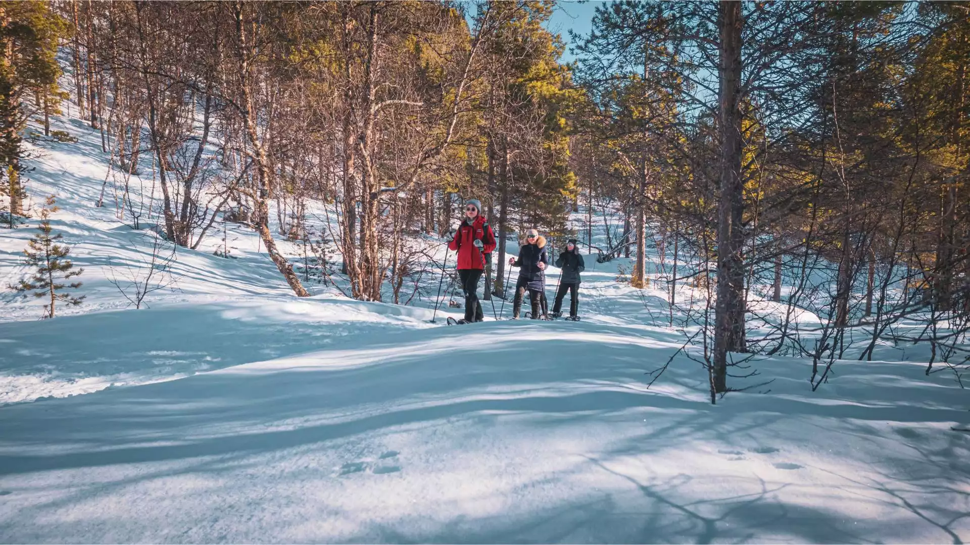 Walvissen spotten óf sneeuwschoenwandelen naar de Orvvos waterfall