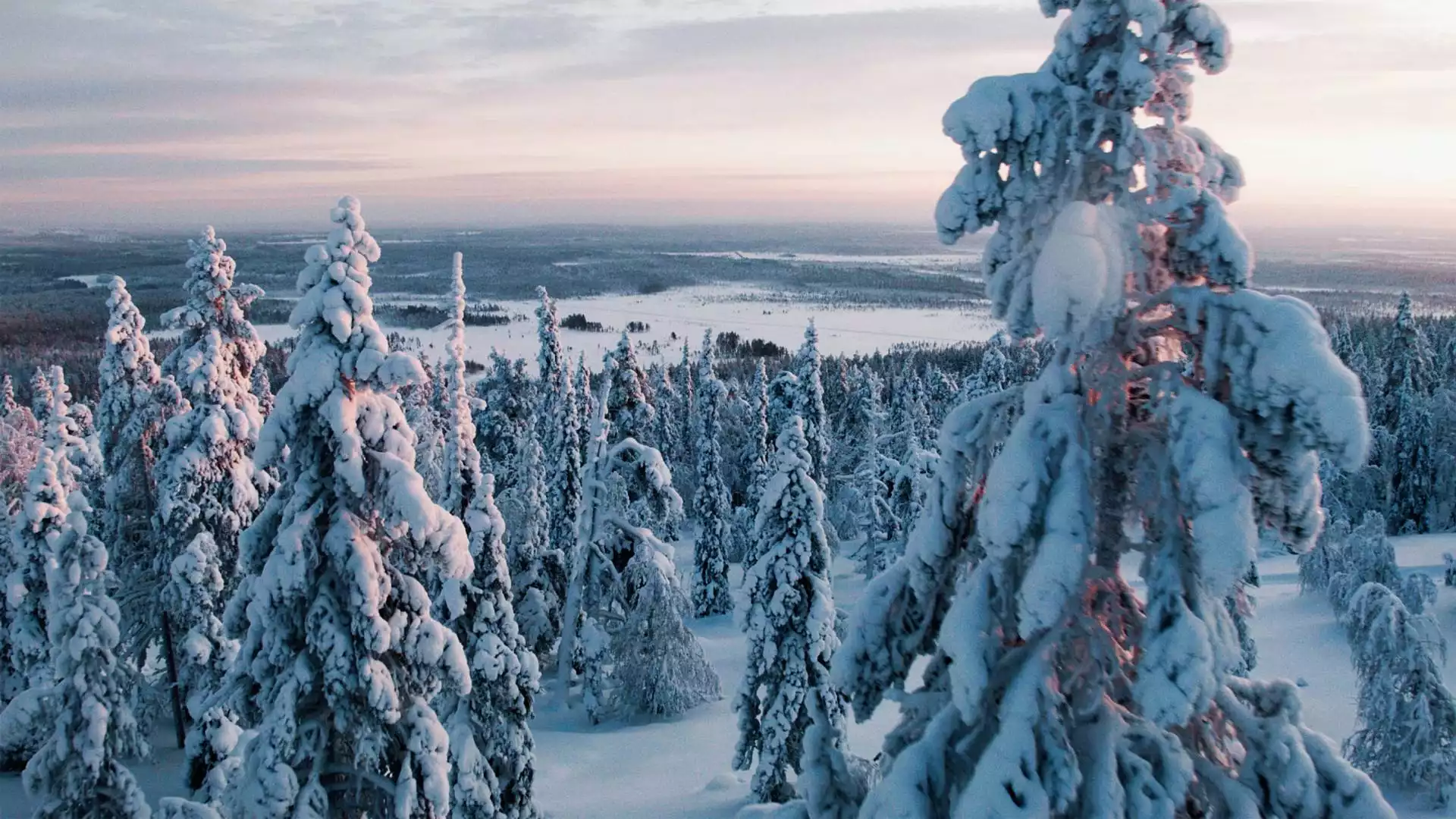 Vaarwel Finland