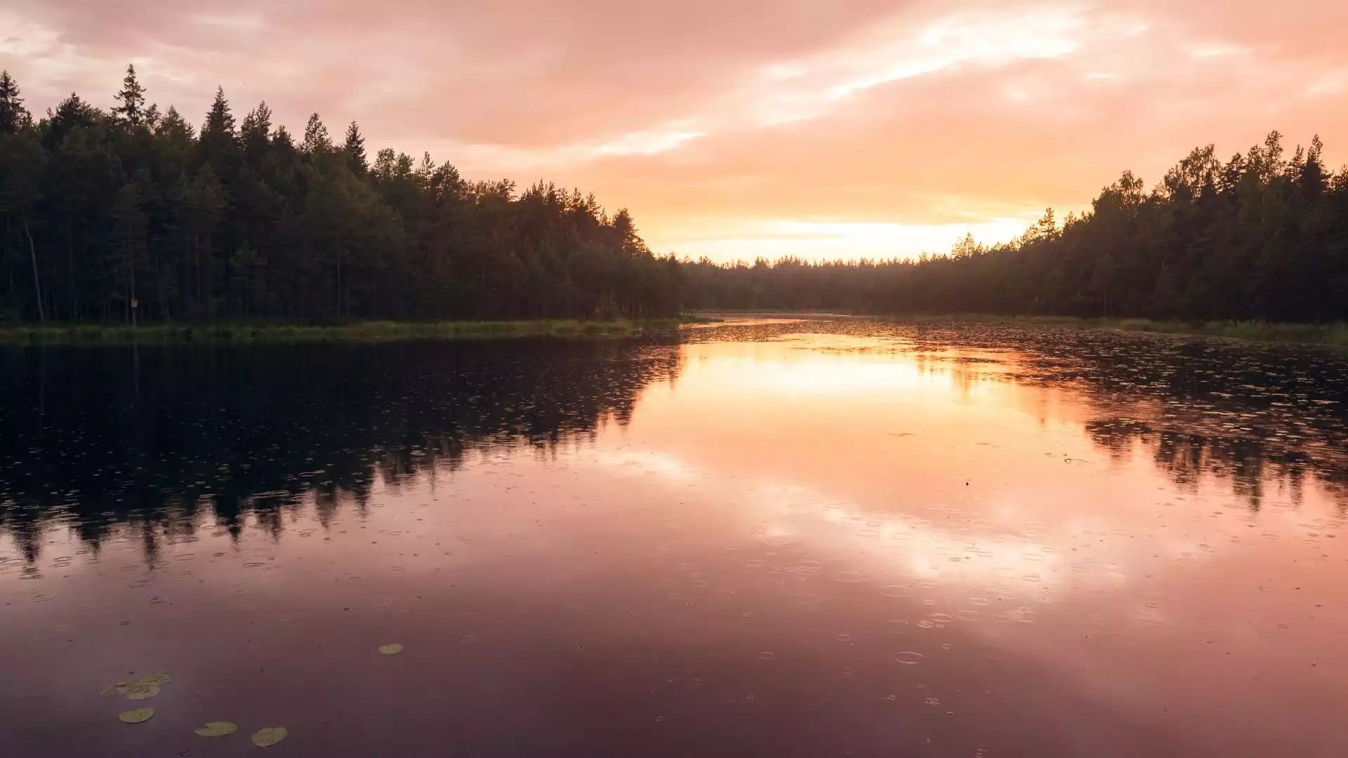 Wandelen in Nuuksio Nationaal Park